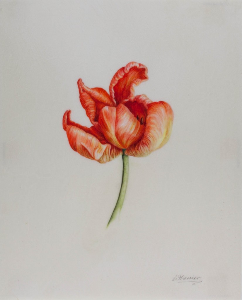 ruth wharrier-9