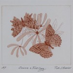Butterfly aquatint